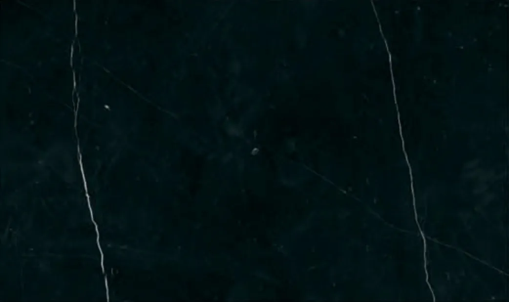 Belgian Black slab, near-solid black with rare thin white lines