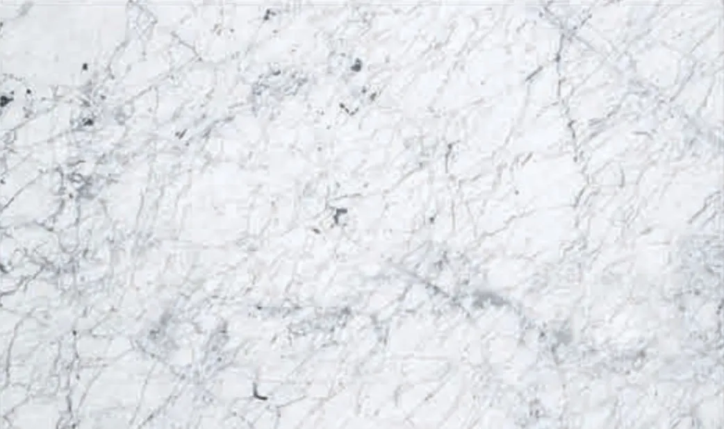 Bianco Venatino slab, white-grey ground with a fine grey network of veins