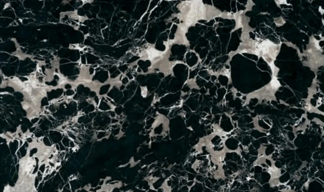 Black Rose slab, black ground with large white-grey flower-like patches