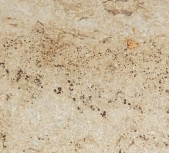 Colonial Gold swatch, cream-gold ground with brown speckling