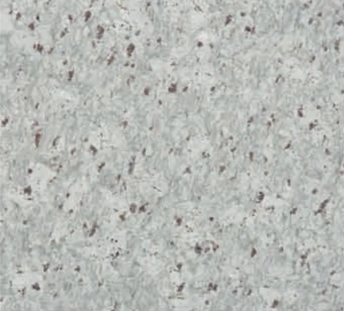Moon White slab, white-grey ground with small burgundy specks