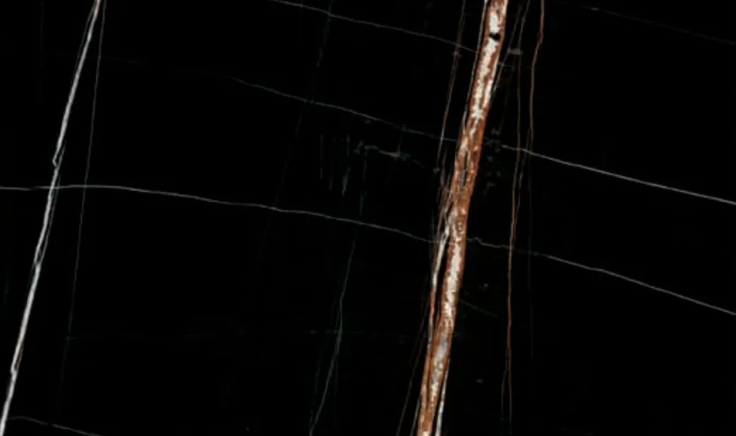 Noir Saint Laurent slab, dark brown-black ground with gold and white veins