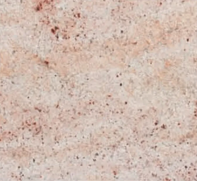 Shivakashi Pink swatch, pink-cream ground with red specks